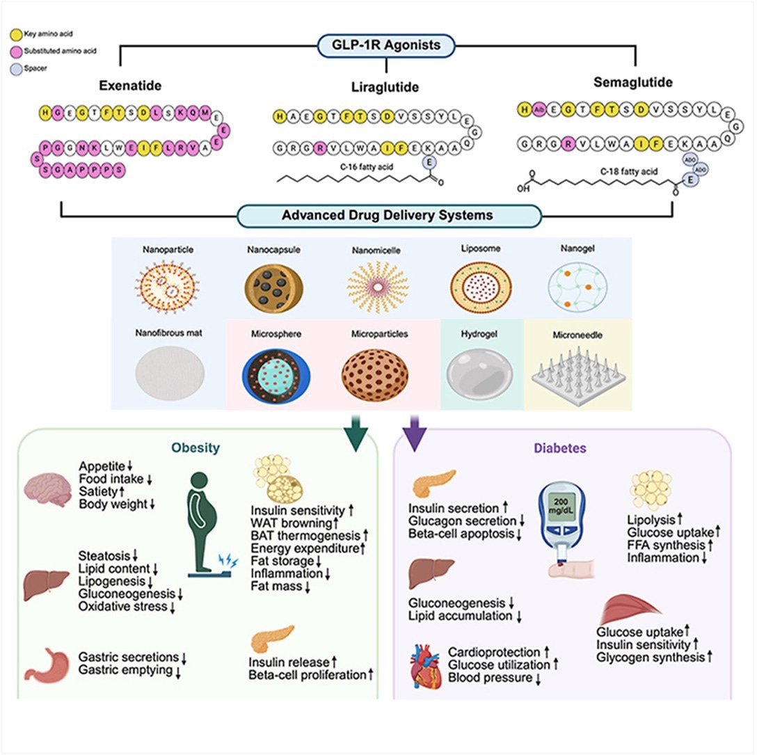 Scientists rethink GLP-1 delivery to improve dosing, tolerability, and adherence