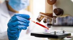 Brazil monitors two patients for possible Ebola infection