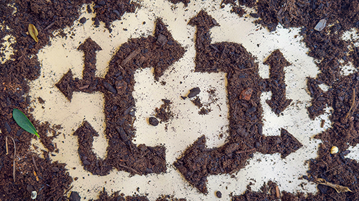 The Dirt That Refused To Die