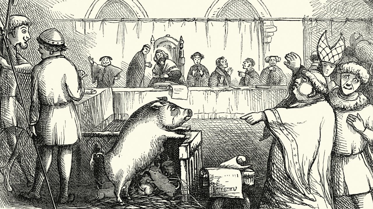 ‘Animals were imprisoned in jails where humans were incarcerated’: The bizarre trials of the Late Middle Ages — and surprising lack of criminal cats