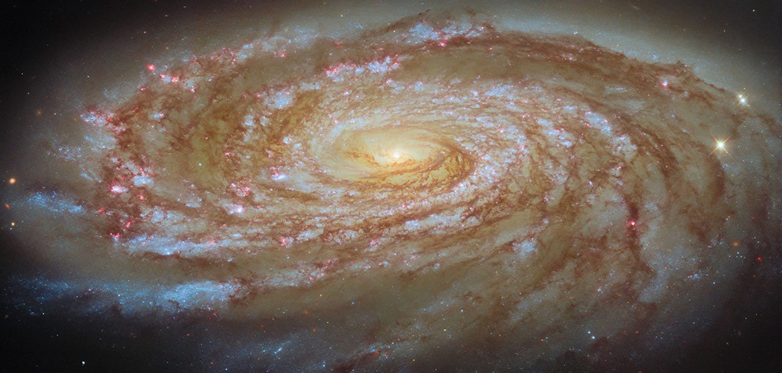 Journey to the Center of the Virgo Cluster