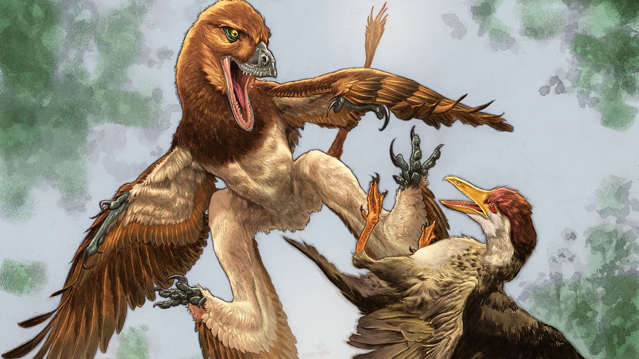 New Velociraptor cousin was a ‘4-winged’ dragon that hunted prey from the trees of ancient China, fossil find hints