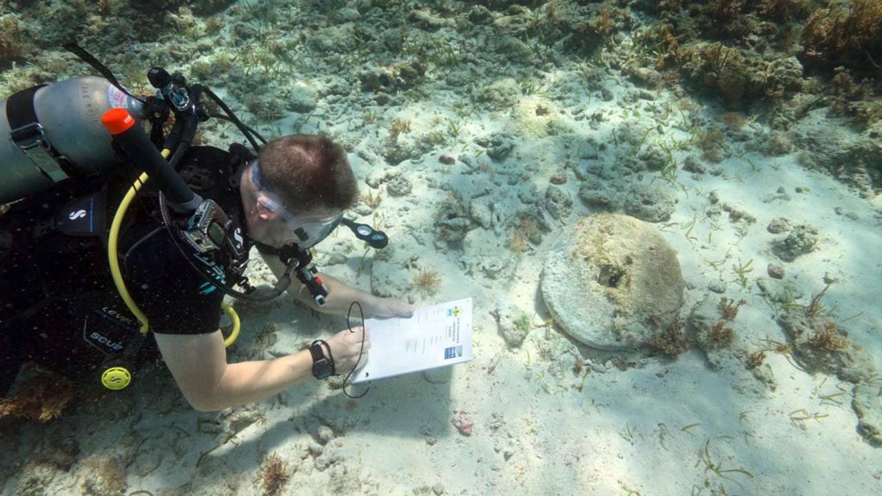 First shipwrecks linked to real pirates of the Caribbean found in Bahamas