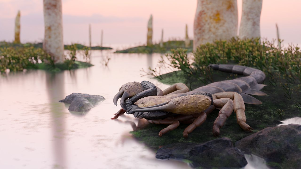 World’s largest scorpion had 6-inch pincers, and prowled UK land and waters 415 million years ago