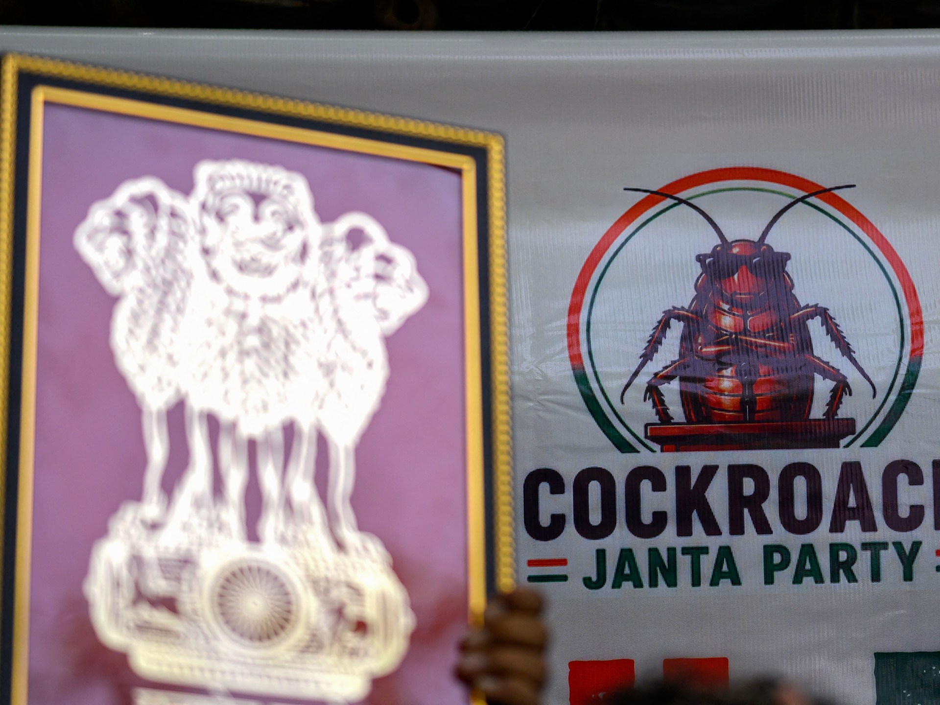 Supporters of the Cockroach People’s Party hold protest in New Delhi