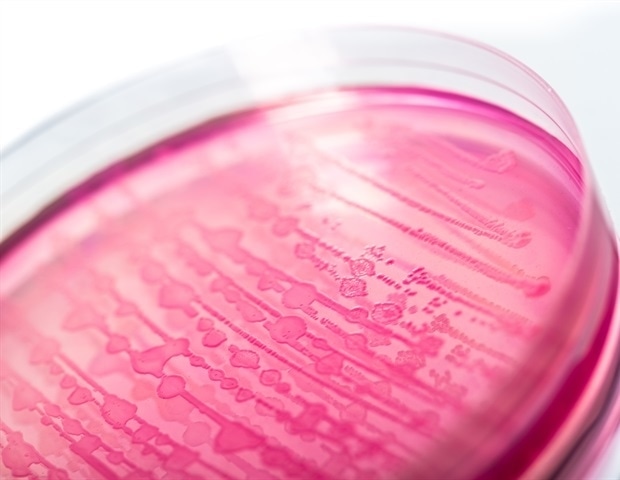 Study: Antibiotic resistance is increasing in Shiga toxin-producing E. coli