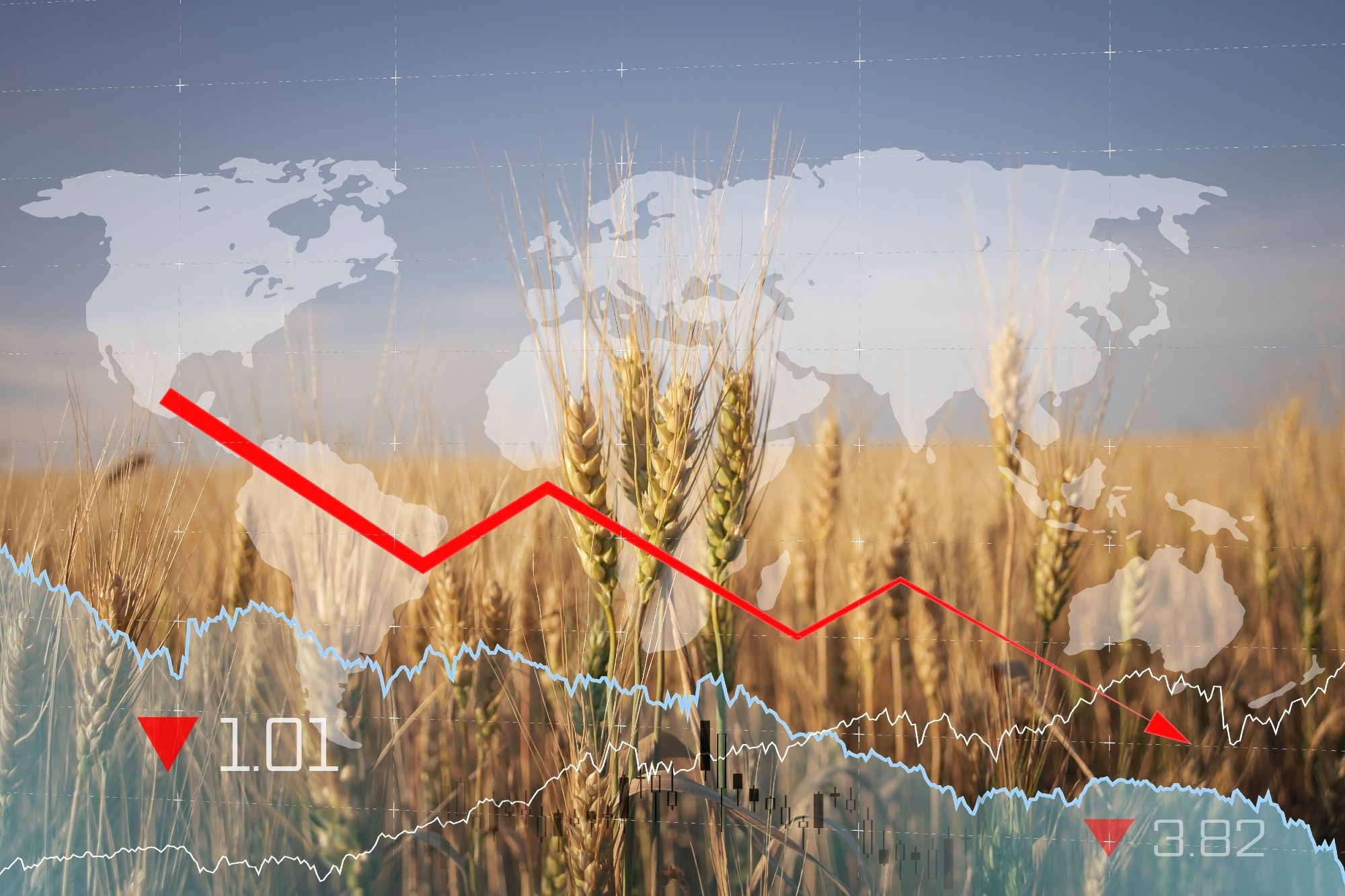 Food security review shows how countries can protect staple crops from global shocks
