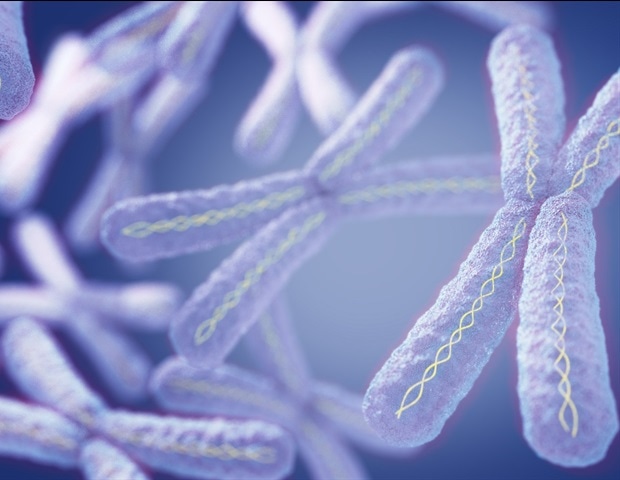 New study maps early genetic disruptions in Rett syndrome