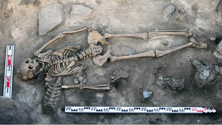Complete skin of an adult horse found with 10th-century woman and newborn in rare Siberian burial