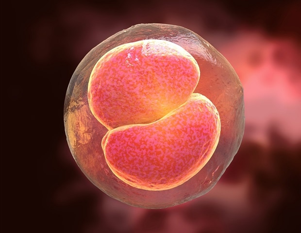 Interspecies blastocyst complementation generates generates rat-derived kidneys in mice