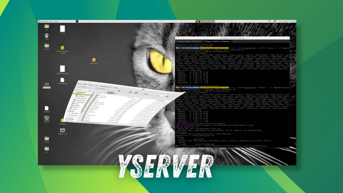 There is a New X11 Server, Written in Rust, With the Help of AI