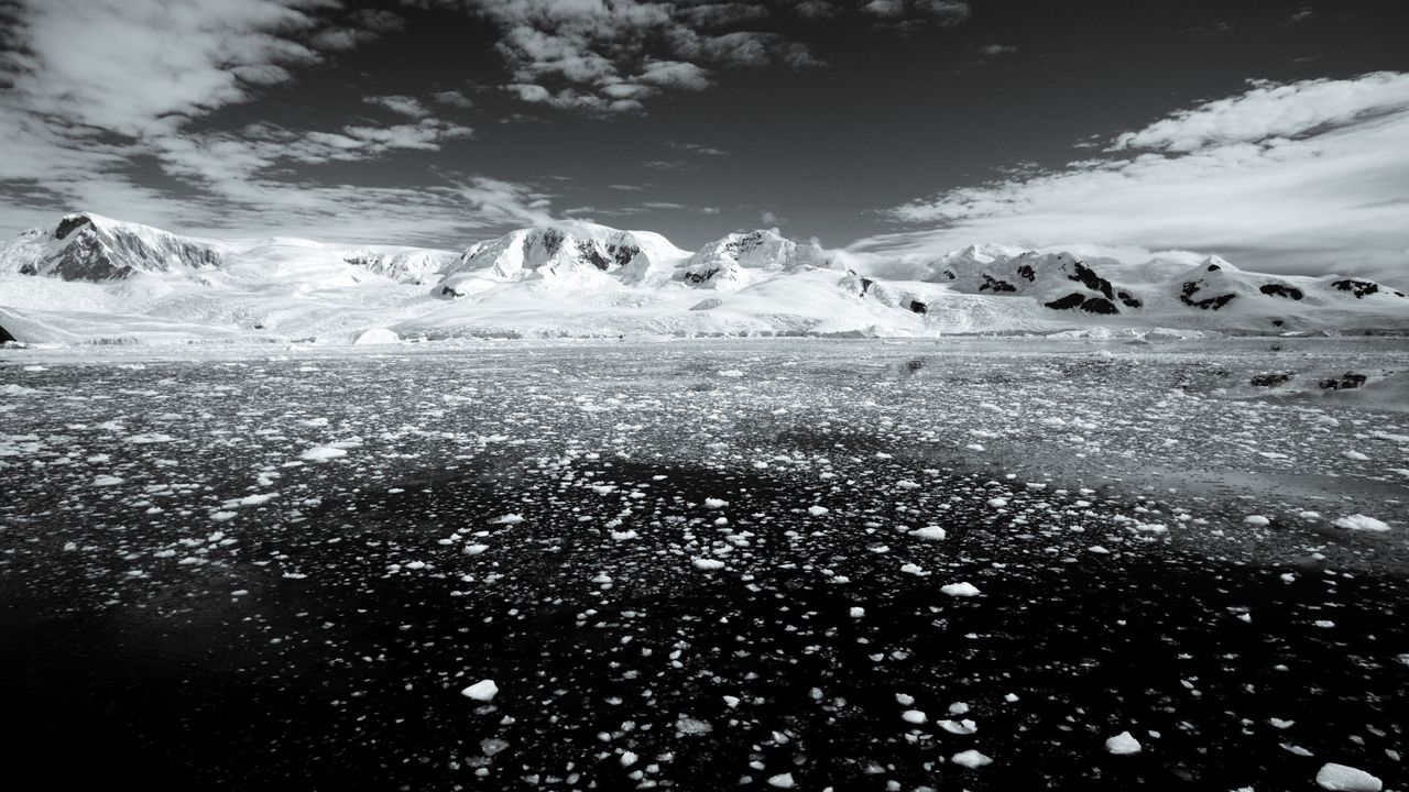 A Texas-size chunk of winter sea ice is missing from Antarctica — and it’s probably not coming back