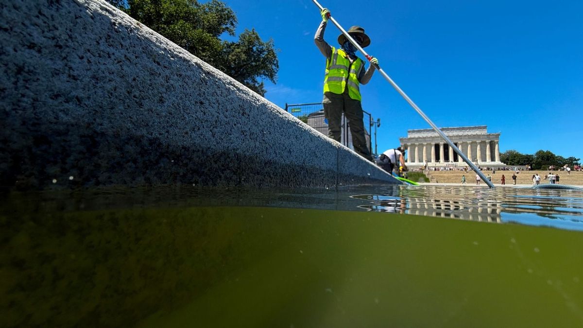 Does video show Fox News reporter saying reflecting pool’s green algae-infested water is blue?