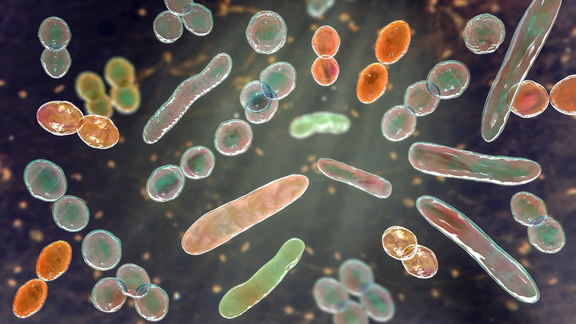 Gut microbes may help explain why obesity and type 2 diabetes become harder to reverse
