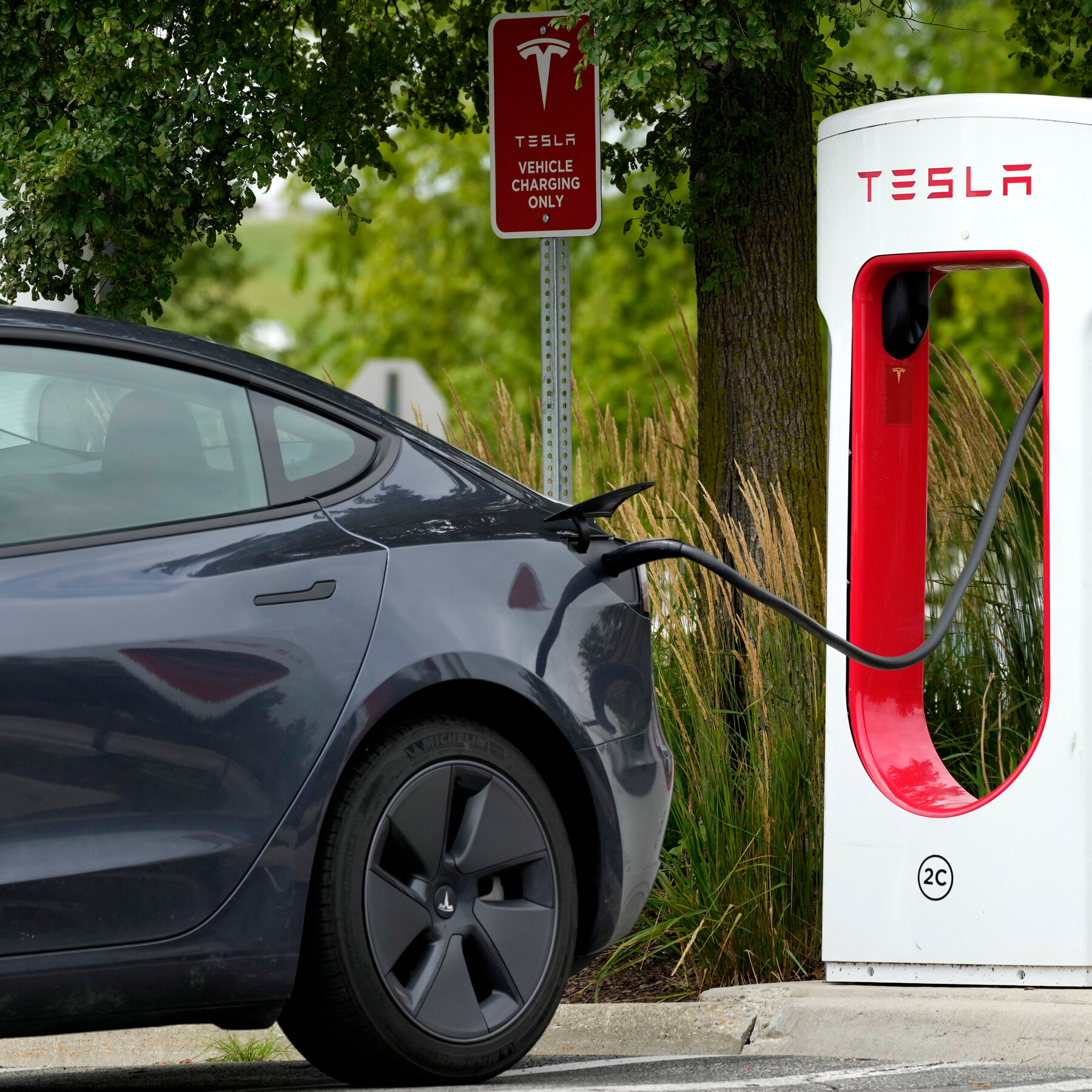 Have You Bought a Tesla Recently? We Want to Hear From You.