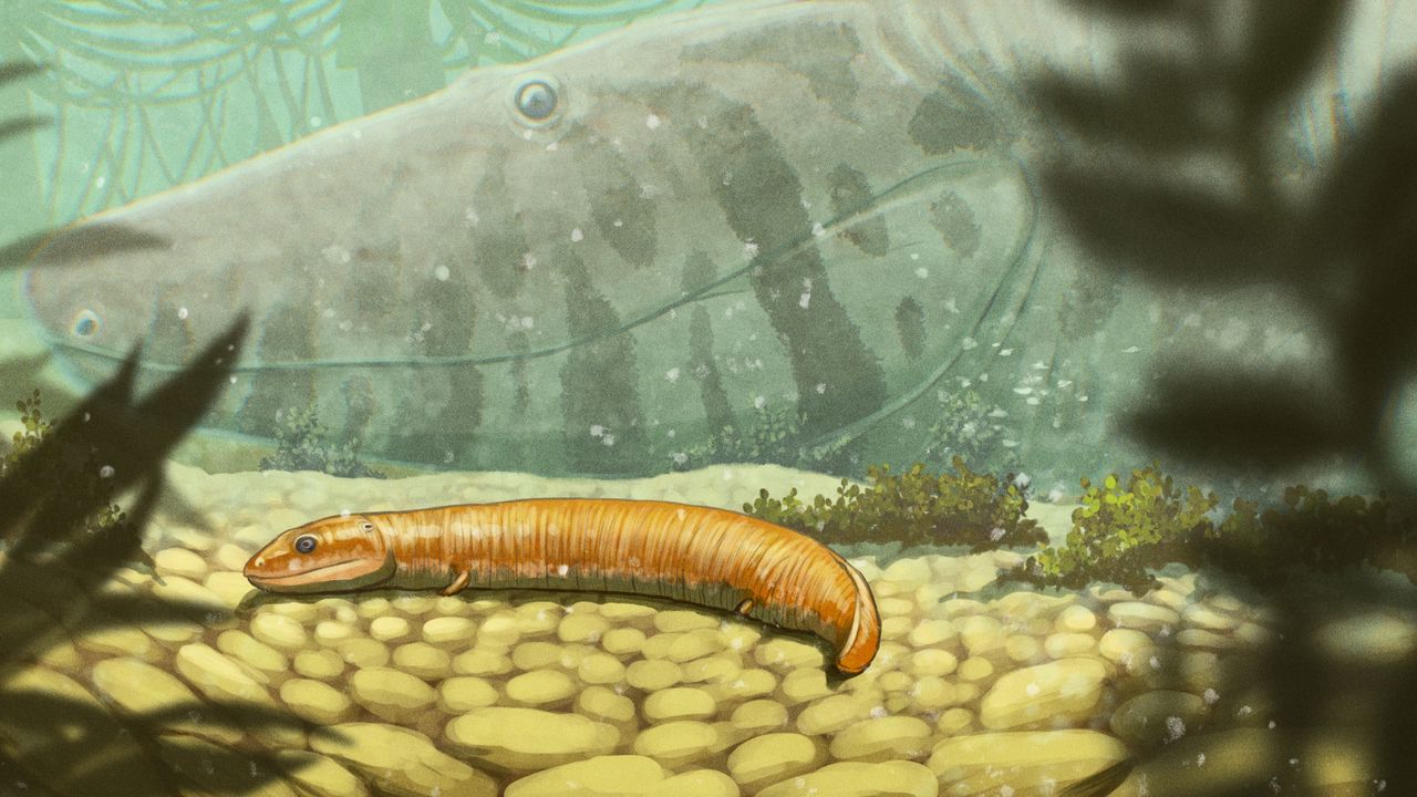 ‘A completely different story’: 300 million-year-old fossils reveal the first vertebrate land dwellers weren’t what we thought, researchers claim