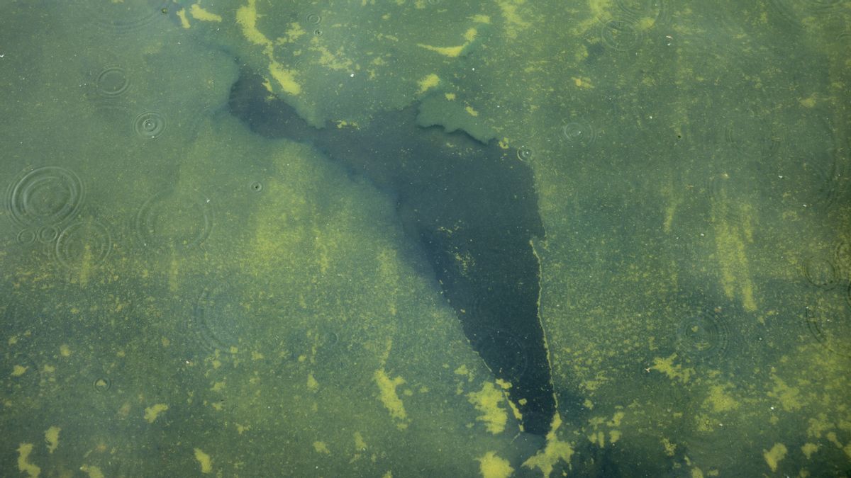 Is reflecting pool’s blue paint peeling off?