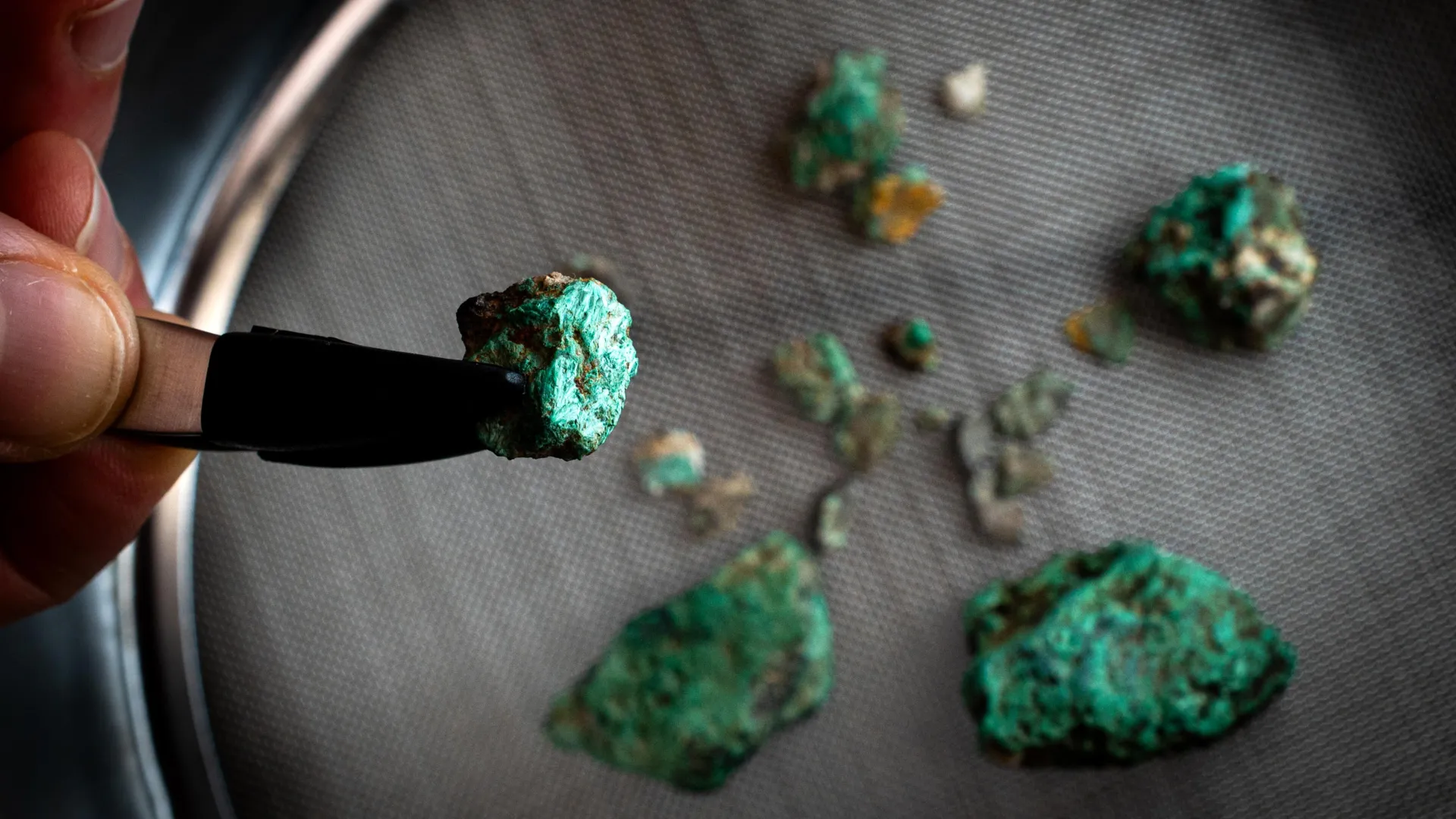A child’s tooth and strange green stones uncover a 5,500-year-old mystery