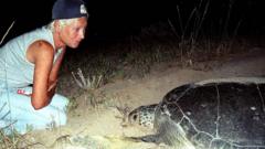 Lebanese turtle conservationist Mona Khalil killed by Israeli strike