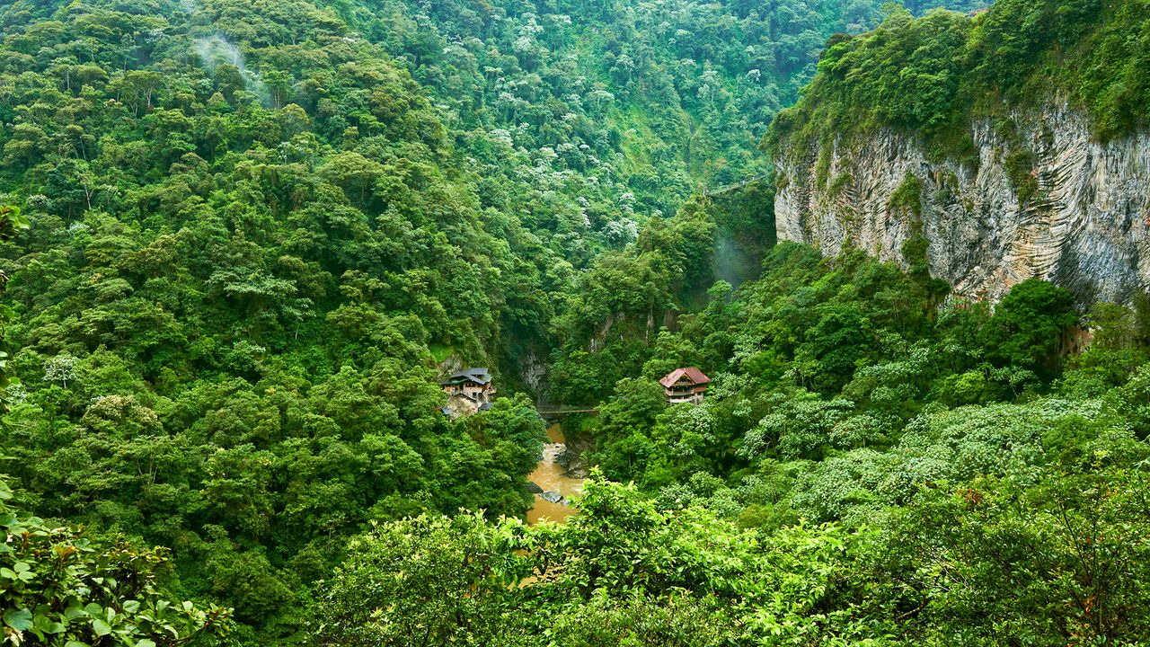 What will the Amazon rainforest look like in 100 years?