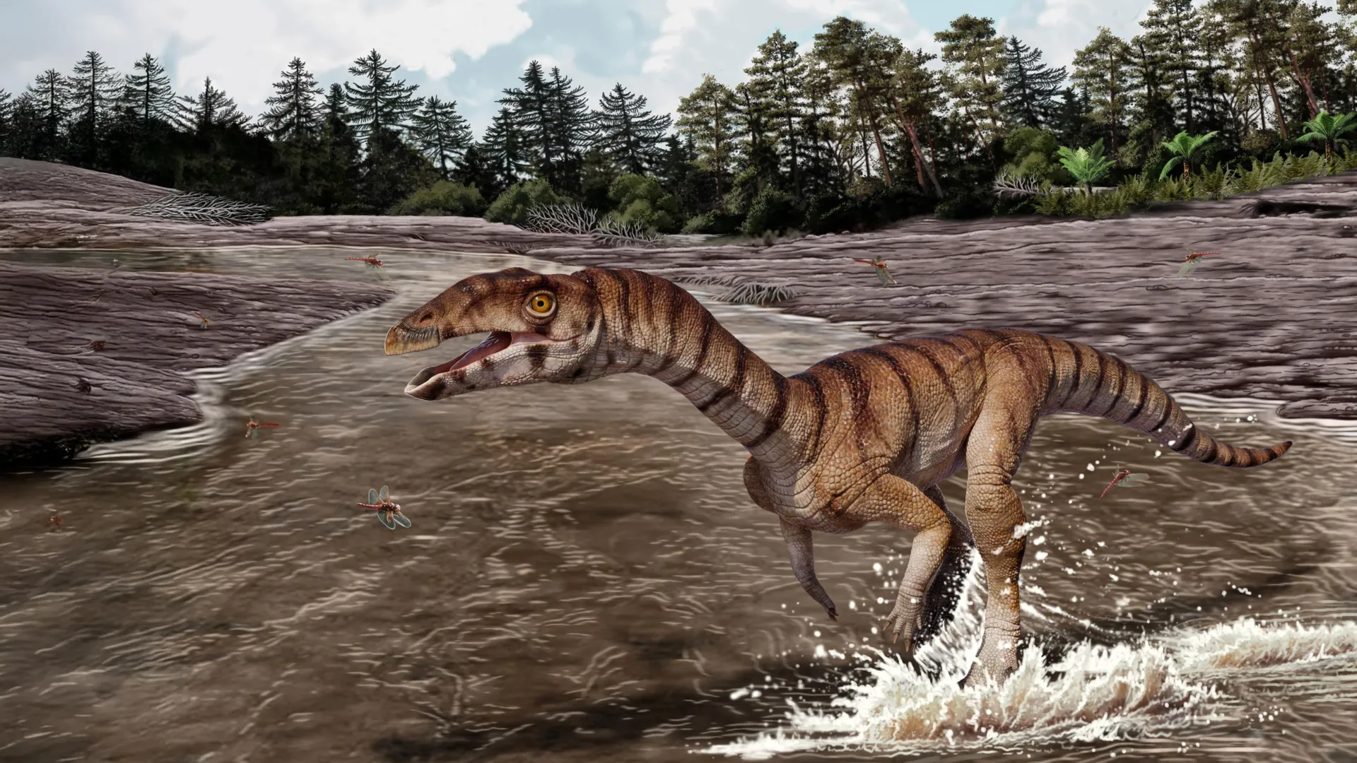 this-bizarre-crocodile-relative-from-the-triassic-looked-like-an-ostrich-dinosaur