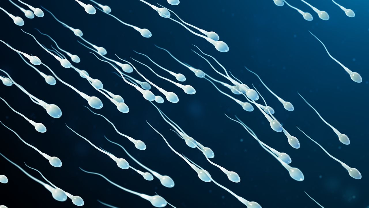 Diagnostic dilemma: Woman’s infertility may have been caused by rare semen allergy