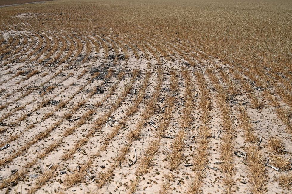 GOP’s ‘unconscionable’ omission in new farm bill has hunger experts furious