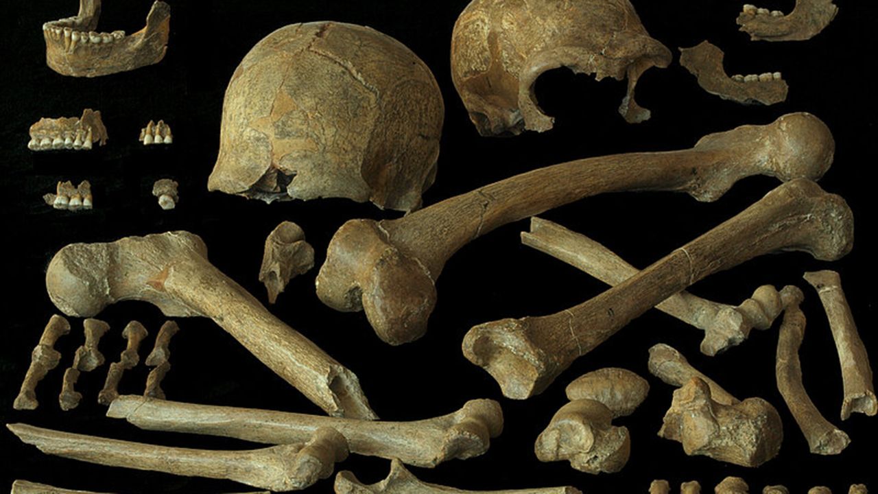 Some of the last surviving Neanderthals were remarkably diverse ‪—‬ suggesting inbreeding didn’t doom them