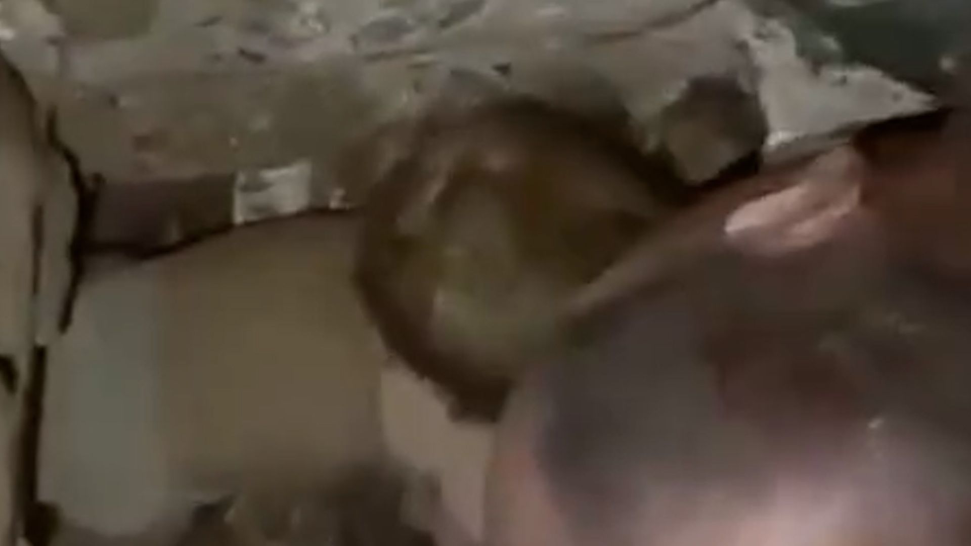 Baby pulled alive from rubble after Venezuela earthquake