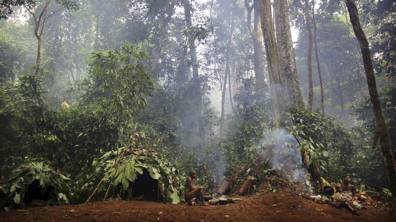Early Homo sapiens may have lived in rainforests, new clues suggest — and it could overturn our understanding of human evolution