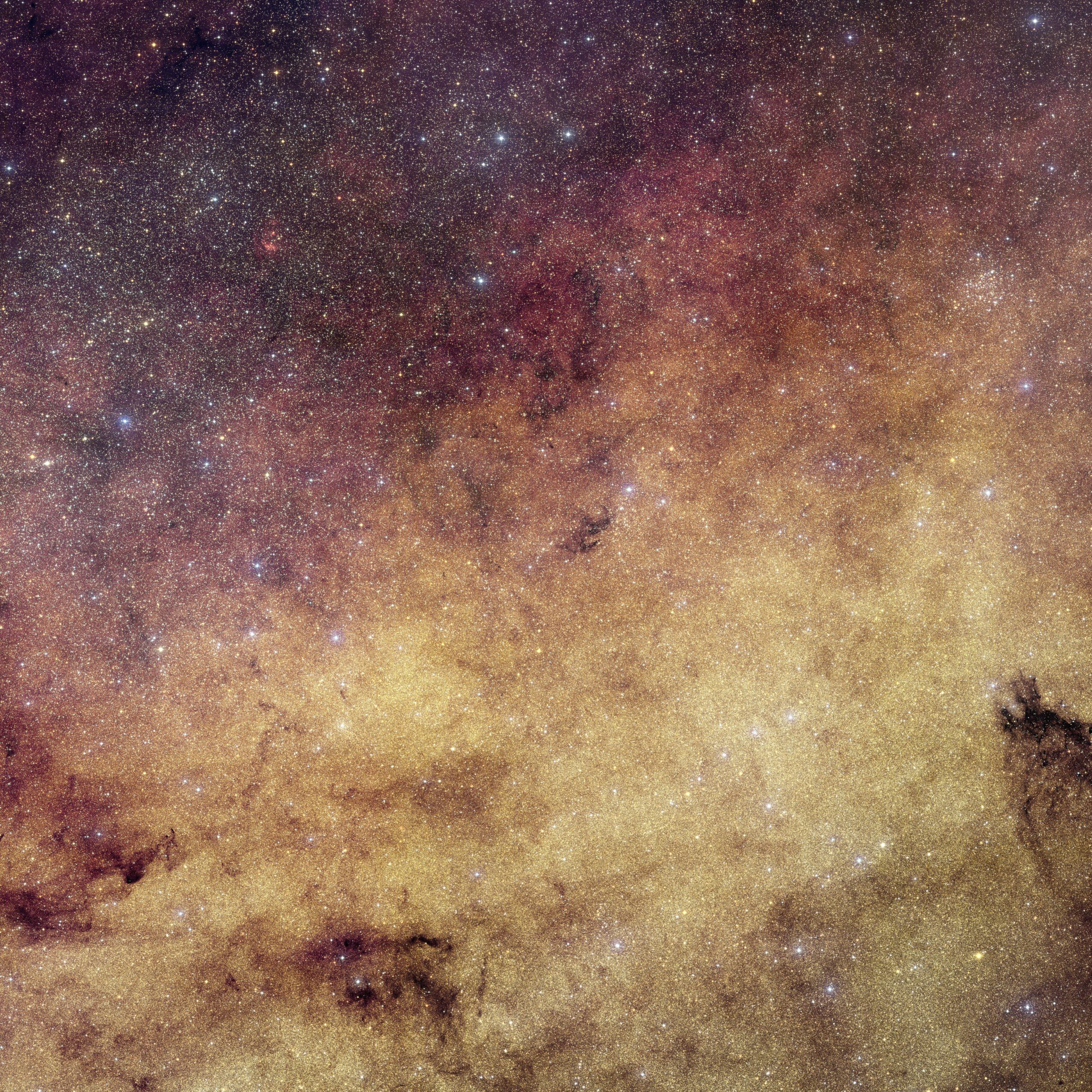 Euclid Sees Heart of Milky Way