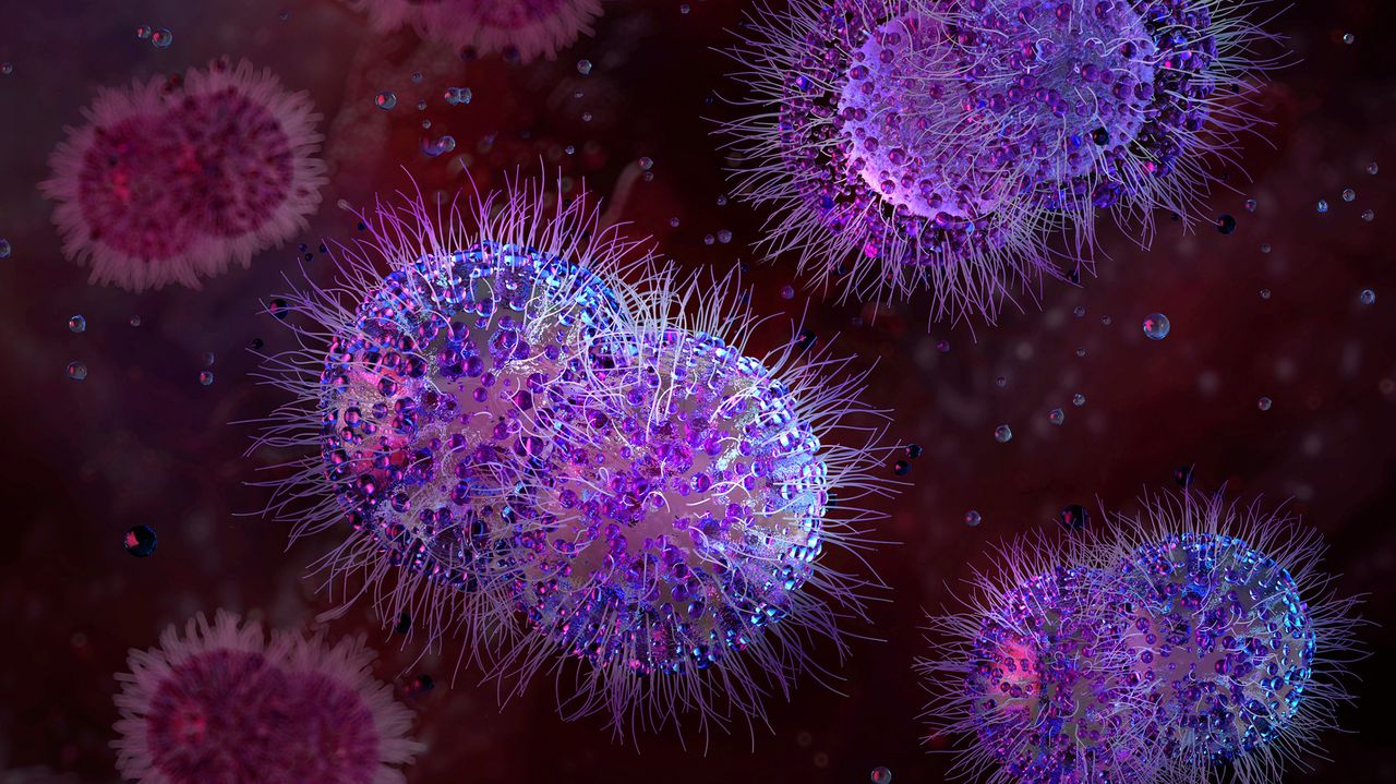 Scientists infected a ‘vagina on a chip’ with gonorrhea — then cured it with a new antibiotic found by AI