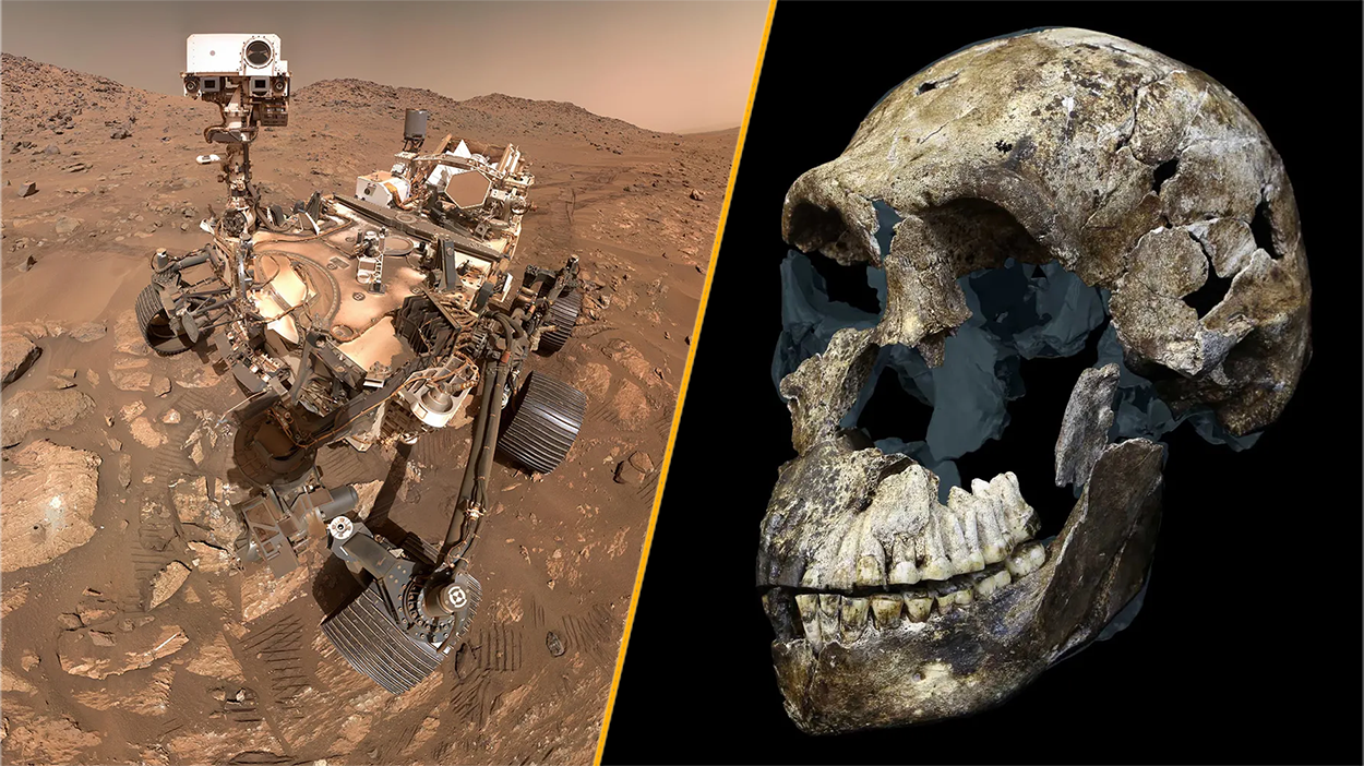Science news this week: Life on Mars, weird water and a curious human cousin