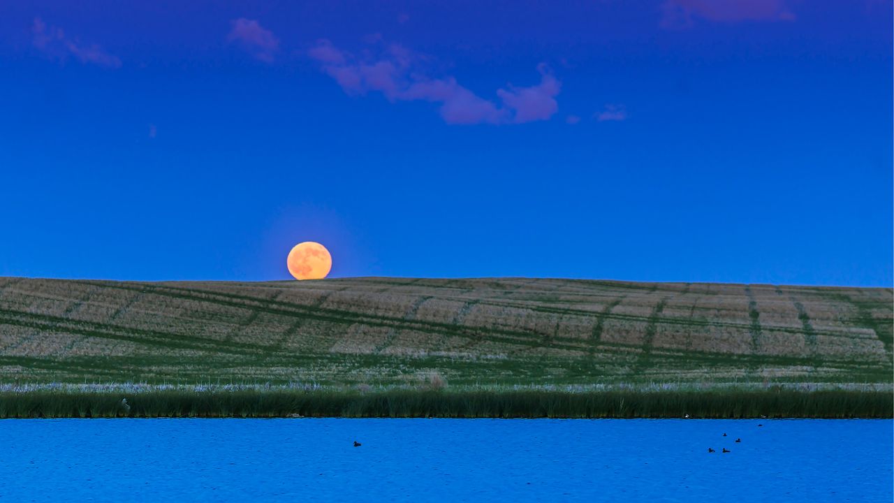 Strawberry moon 2026: Tonight’s full moon is the lowest, and one of the smallest ‘micromoons’ all year
