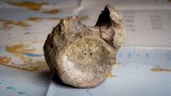 First dinosaur bone from Antarctica found in a drawer
