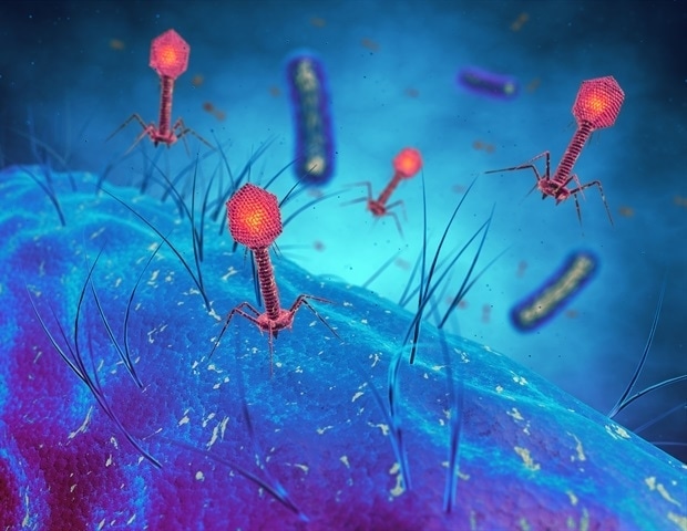Researchers map structural changes of viruses during the dehydration process