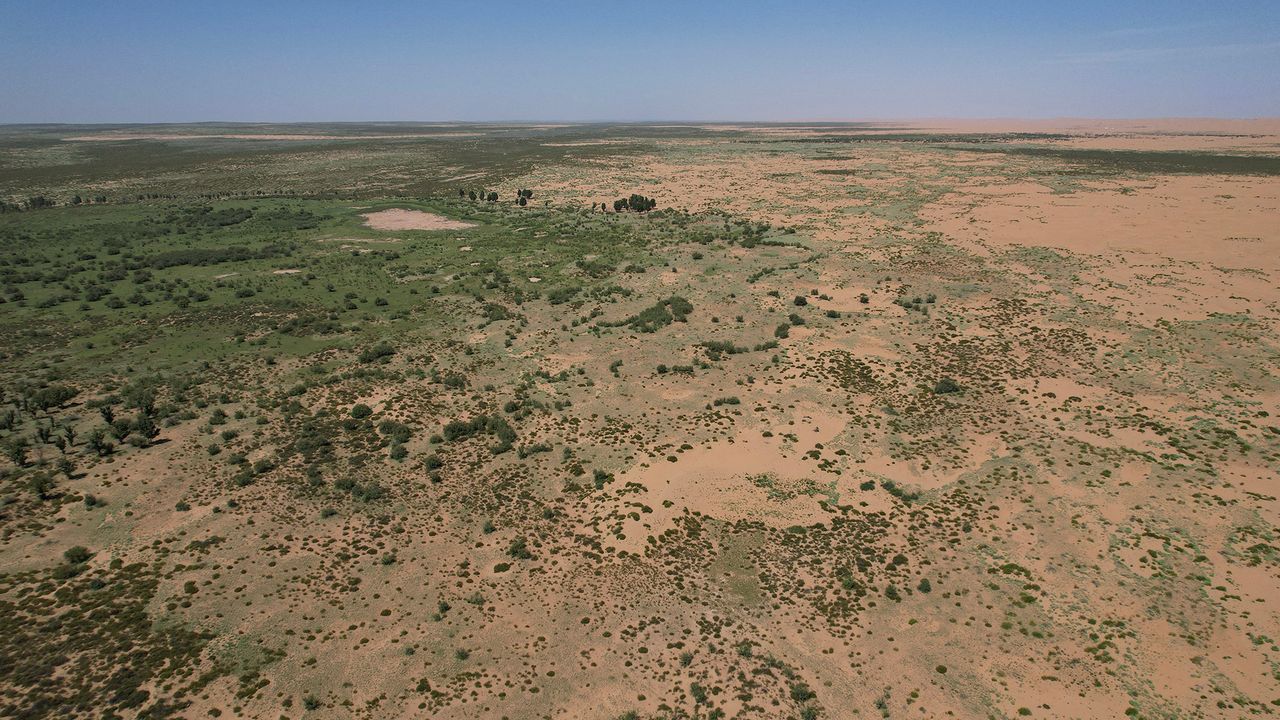 66 billion trees have been planted in China’s Great Green Wall — and they appear to be growing faster than natural forests