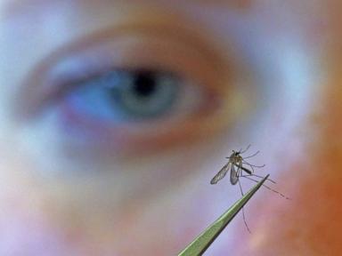 CDC urges people to prevent mosquito bites as West Nile virus season gets early start