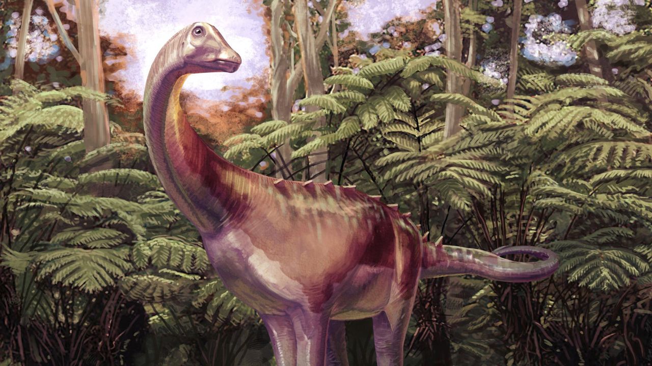 Antarctica’s first dinosaur fossil belonged to a group of the largest land animals ever