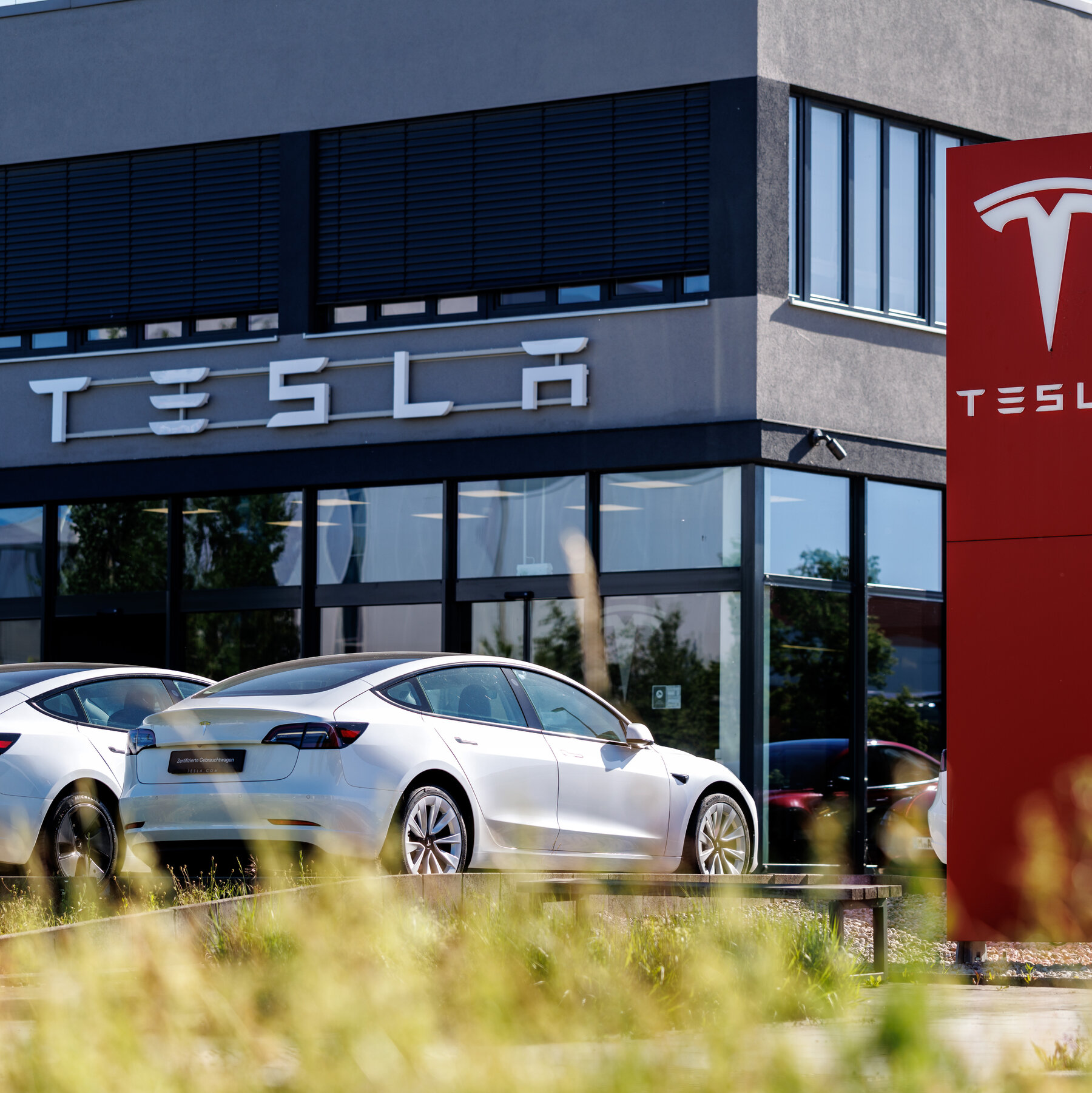 Tesla Sales Surge on Recovery in Europe