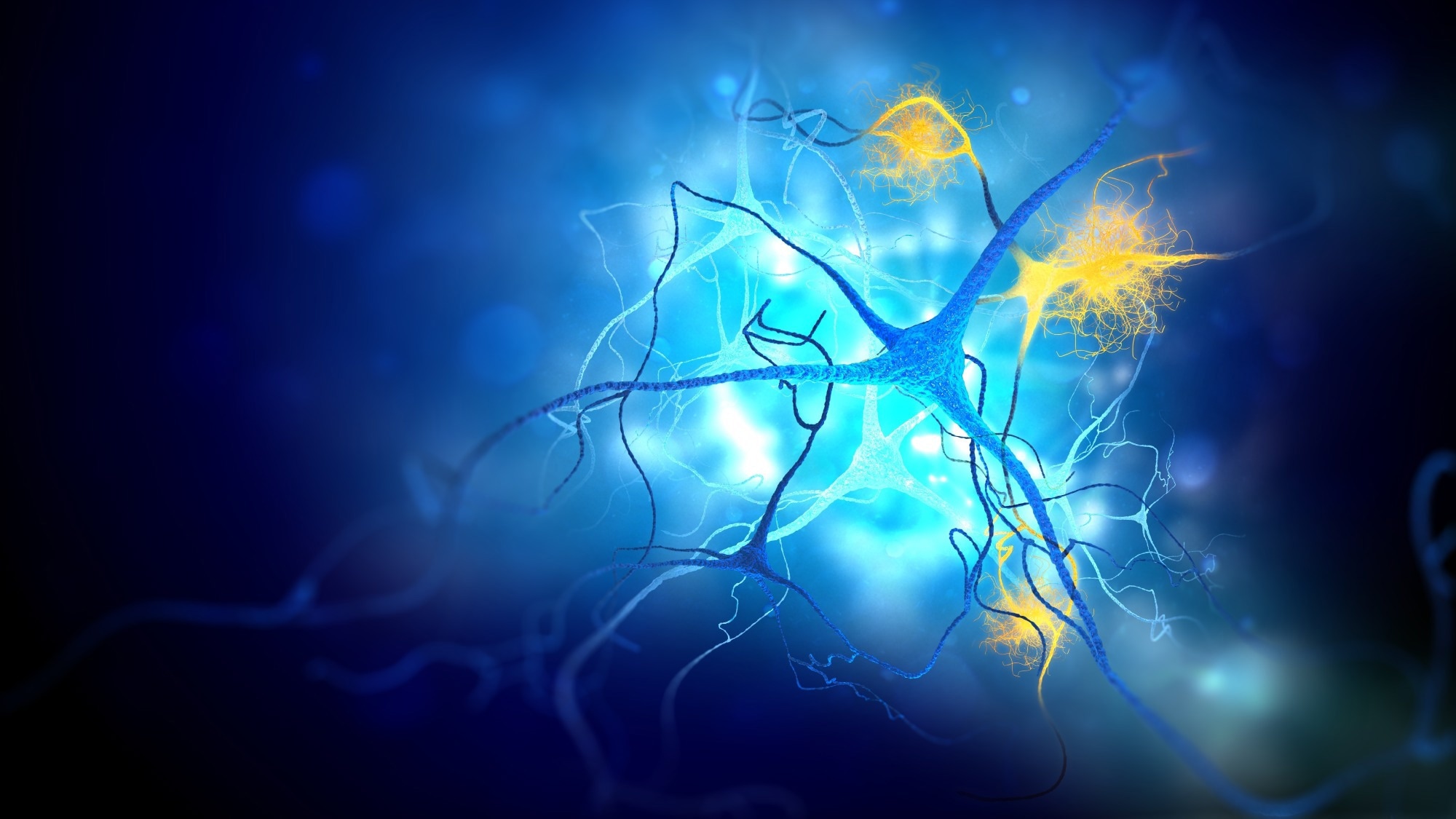 Blood circRNAs may predict Alzheimer’s before symptoms emerge