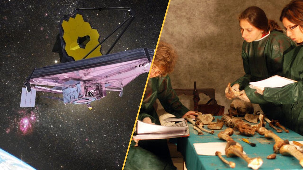 Science news this week: James Webb telescope finds a never-before-seen substance, China’s ‘Great Green Wall’ grows faster than natural trees, and a Medici murder mystery is solved
