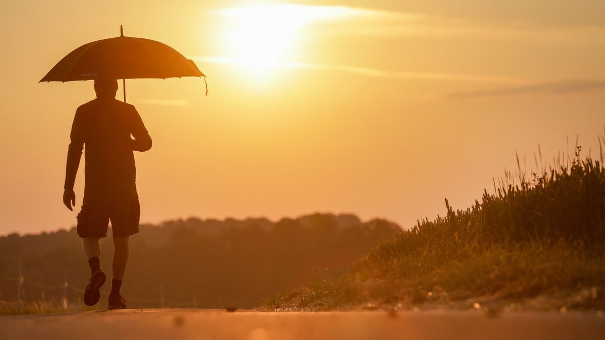 11 heat wave fact checks from our archives