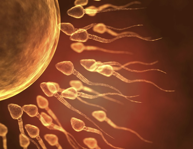 Study links geography to significant differences in sperm quality