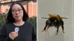 Watch: We’re a step closer to finding out if bees have feelings, here’s why