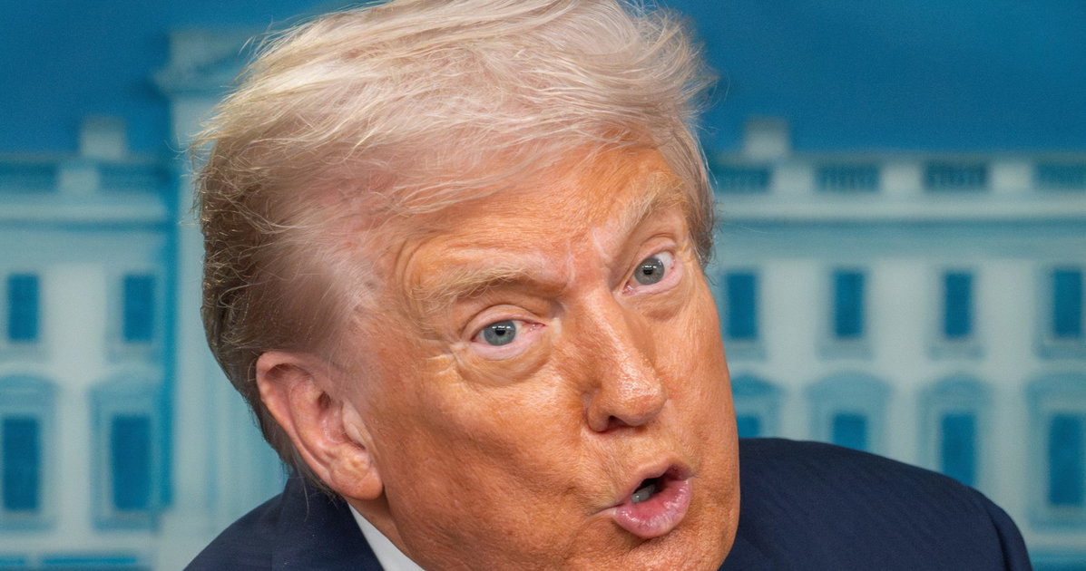 Tweety McTreason says woman who accused Graham Platner of rape could be lying