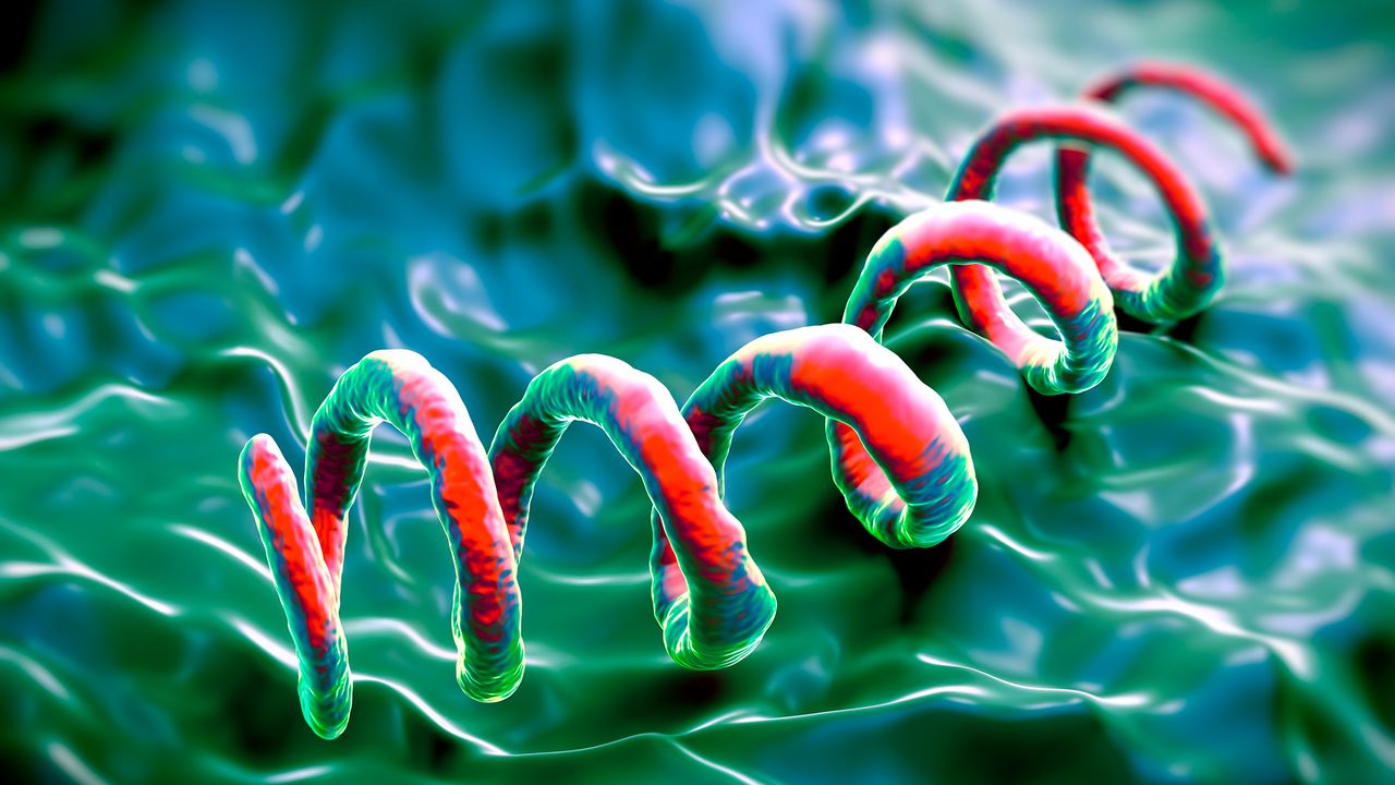 Diagnostic dilemma: An 83-year-old man went to the hospital because of very itchy skin. It turned out he had a rare form of syphilis.