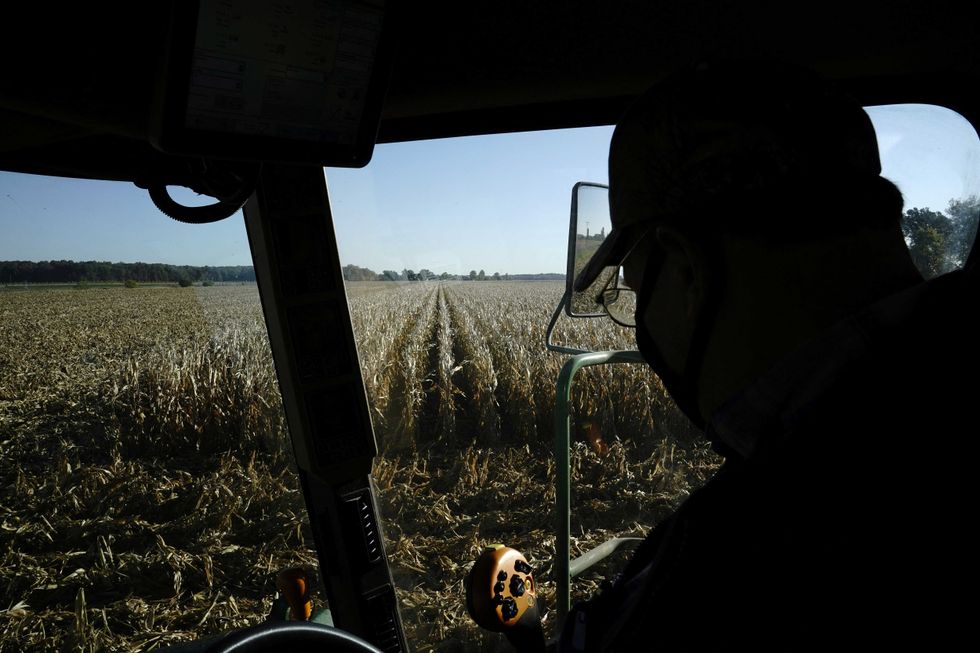 ‘Rude awakening’: farmers say Trump’s ‘drastic’ DEI policy hits them where it hurts