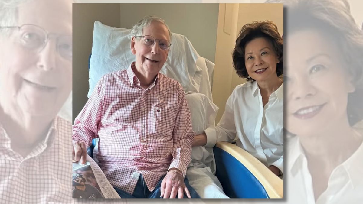 Is this Mitch McConnell photo real? There’s no evidence of AI, despite claims