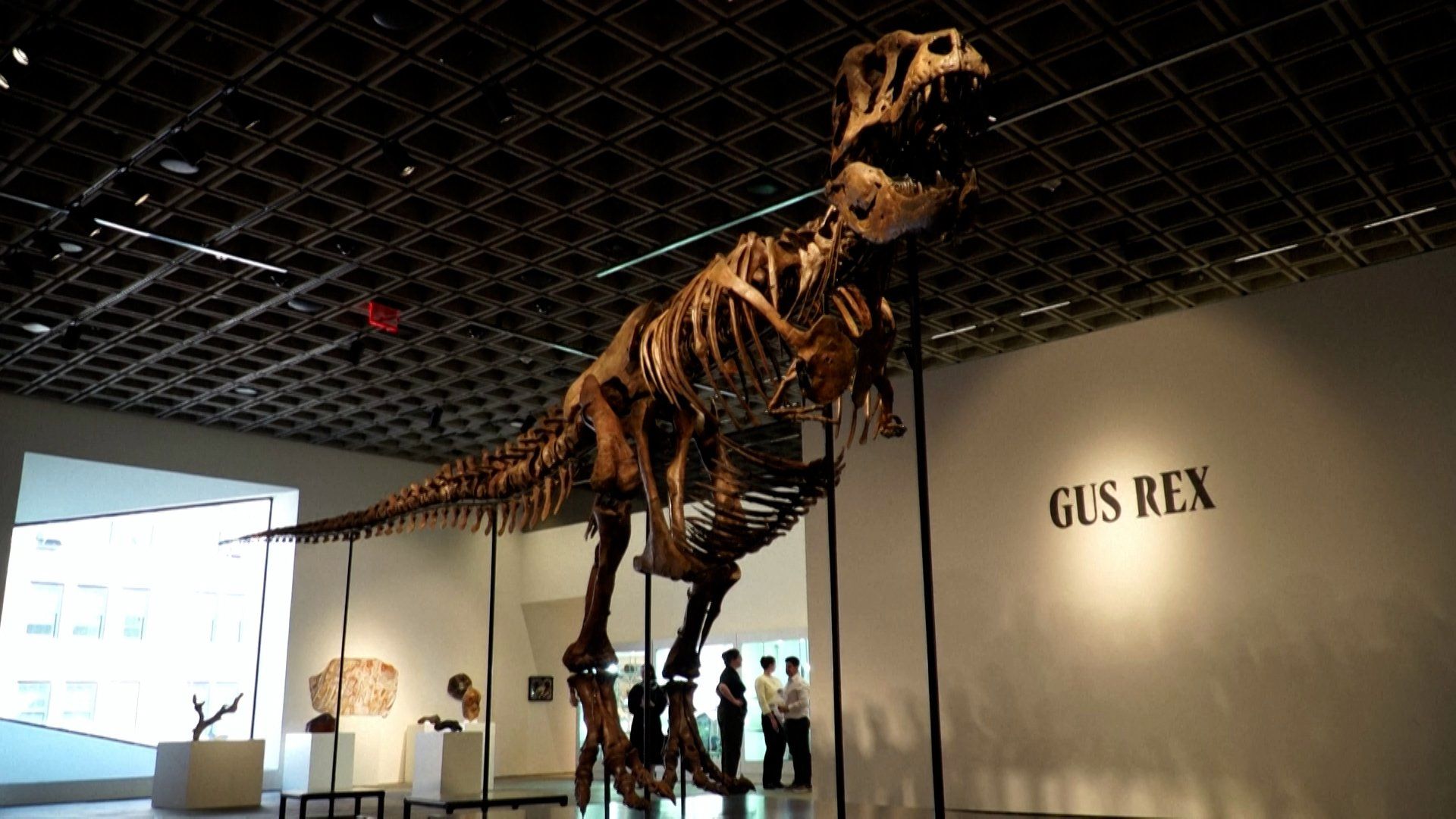 T.Rex skeleton sells for $50.1 million at New York auction